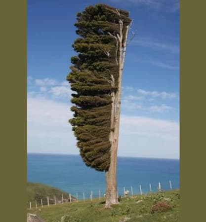 Bắt đầu quá trình “Hướng dẫn lại” năng lực đầu tư cho nhà đầu tư chuyên nghiệp