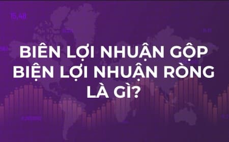 Biên lợi nhuận gộp là gì? Biên lợi nhuận ròng là gì?