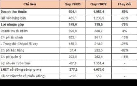 Bức tranh của VND QUÝ 1/2023 đáng suy nghĩ