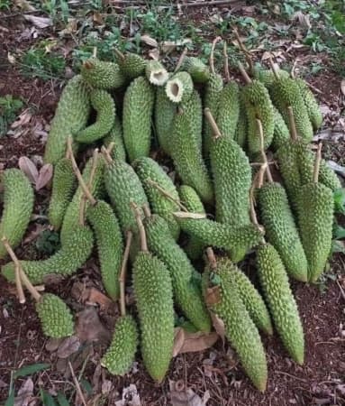 Các dự án lớn của NVL sớm được giải quyết. Còn rất nhiều sẽ đến nay mai nữa. Hãy chờ xem chuyện gì xảy ra. 