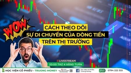 Cách theo dõi sự di chuyển của dòng tiền trên thị trường