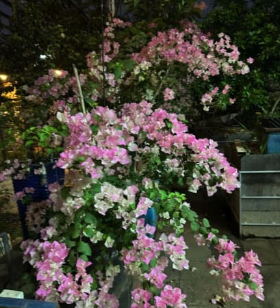 Cánh cửa suy thoái đang dần mở ra