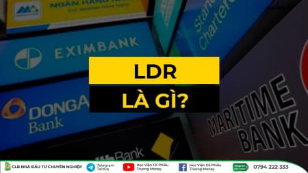 CHỈ SỐ MỨC ĐỘ TÍN NHIỆM - LDR