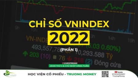 CHỈ SỐ VNINDEX 2022