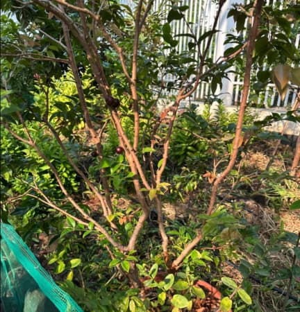 Chia sẻ ngày 28/12/2022