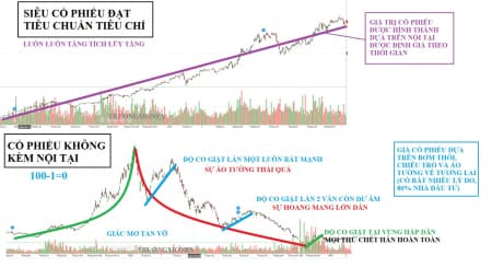 Chương trình Live ”Hướng dẫn” năng lực đầu tư chuyên nghiệp