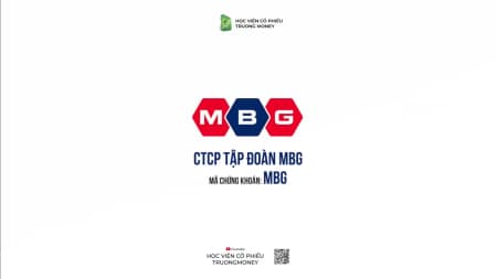 CỔ PHIẾU CÓ PHẨM CHẤT KÉM - CTCP TẬP ĐOẠN MBG