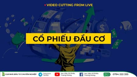 CỔ PHIẾU ĐẦU CƠ - LIVE NỘI BỘ T2/2023