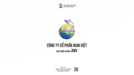 CÔNG TY CỔ PHẦN NAM VIỆT - ANV
