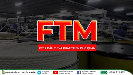 CTCP ĐẦU TƯ & PHÁT TRIỂN ĐỨC QUÂN - FTM