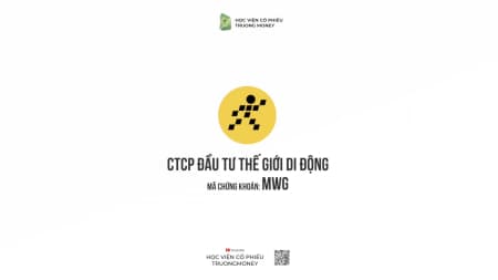 CTCP ĐẦU TƯ THẾ GIỚI DI ĐỘNG - MWG