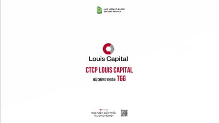 CTCP Louis Capital - TGG