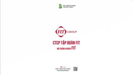 CTCP TẬP ĐOÀN FIT