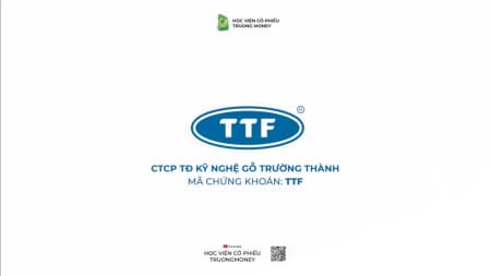 CTCP TẬP ĐOÀN KỸ NGHỆ GỖ TRƯỜNG THÀNH - TTF