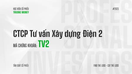 CTCP Tư vấn Xây dựng Điện 2 - TV2