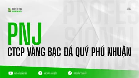 CTCP Vàng bạc Đá quý Phú Nhuận - PNJ