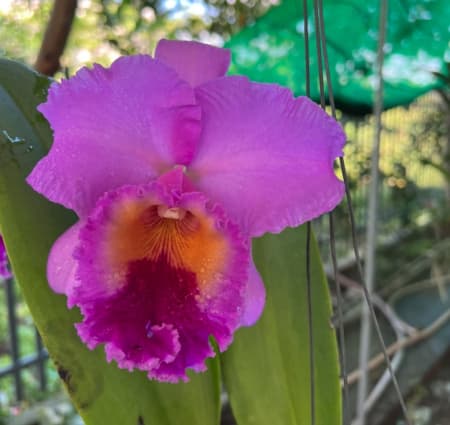 Cứ nghĩ đơn giản thôi nhà mình