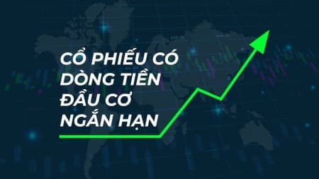 ĐẦU TƯ CỔ PHIẾU CÓ DÒNG TIỀN ĐẦU CƠ NGẮN HẠN