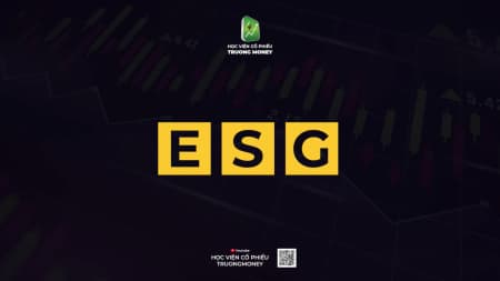 ĐẦU TƯ ESG LÀ GÌ?