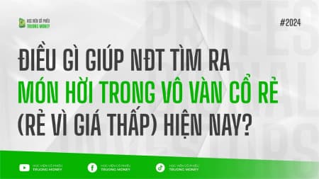 ĐIỀU GÌ GIÚP NĐT TÌM RA MÓN HỜI TRONG VÔ VÀN CỔ RẺ (RẺ VÌ GIÁ THẤP) HIỆN NAY?
