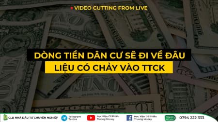 DÒNG TIỀN DÂN CƯ SẼ ĐI VỀ ĐÂU - LIỆU CÓ CHẢY VÀO TTCK (LIVE 07.2023)