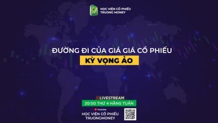 Đường đi giá của cổ phiếu kỳ vọng ảo