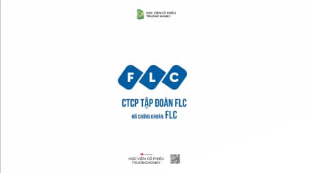 FLC - CTCP TẬP ĐOẠN FLC