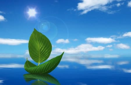 Hành trình đi tìm chân lý TTCK của chị Diễm 