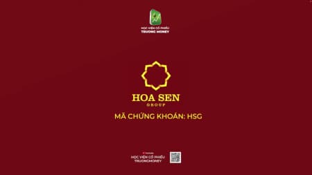 HSG - CỔ PHIẾU CHUYỂN ĐỘNG NGÀNH