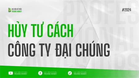 HỦY TƯ CÁCH CÔNG TY ĐẠI CHÚNG
