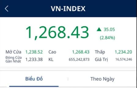 Không cho phép thua lỗ và kỳ vọng ảo sau khi TT đạt đỉnh