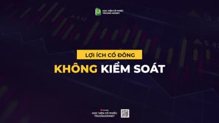 LỢI ÍCH CỔ ĐÔNG KHÔNG KIỂM SOÁT