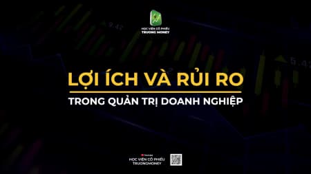 LỢI ÍCH VÀ RỦI RO TRONG QUẢN TRỊ CÔNG TY