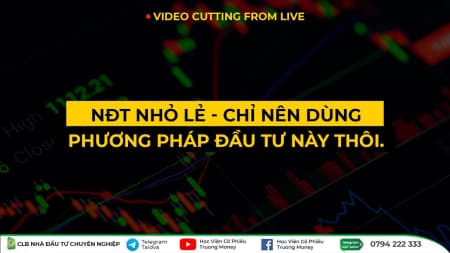 NĐT NHỎ LẺ CHỈ NÊN DÙNG PHƯƠNG PHÁP ĐẦU TƯ NÀY THÔI