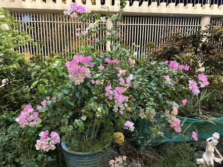 Nếu không có gì bất ổn “BẤT NGỜ”. VN-Index rất dễ dàng tăng mạnh mẽ