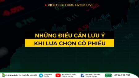 NHỮNG ĐIỀU CẦN LƯU Ý KHI LỰA CHỌN CỔ PHIẾU