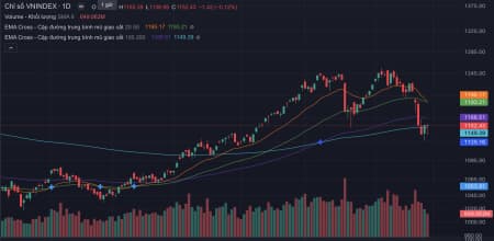 Nói chuyện về thị trường chứng khoán đặc biệt phiên hôm nay. Quản trị đầu tư thế nào