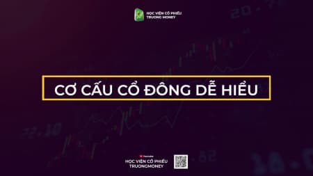 Phân tích cơ cấu cổ đông