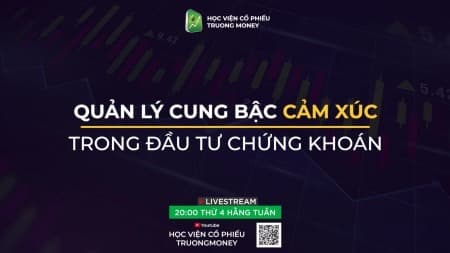 Quản trị cảm xúc - Điều quan trọng số 1 trong đầu tư chứng khoán