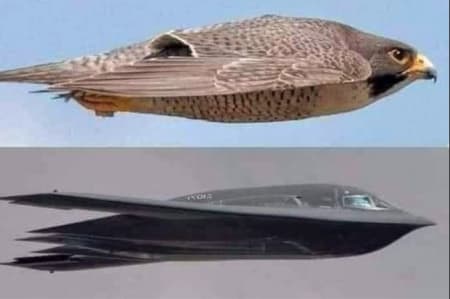 TẠI SAO CỔ PHIẾU PHẢI KÈM NỘI TẠI MẠNH MẼ