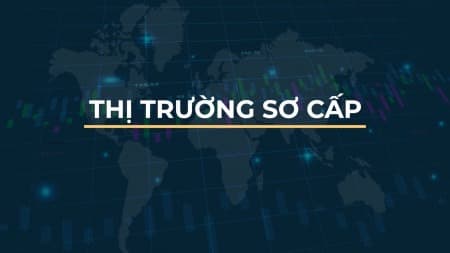 THỊ TRƯỜNG SƠ CẤP LÀ GÌ?