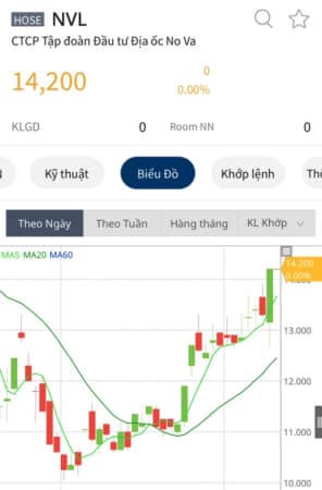 Thông tin Chính Phủ thành lập tổ công tác giải quyết riêng cho NVL. Có thể hiểu như thế nào?