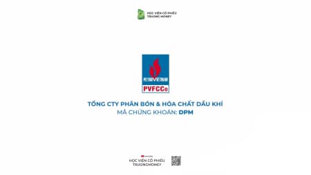 TỔNG CÔNG TY PHÂN ĐẠM & HÓA CHẤT DẦU KHÍ - DPM