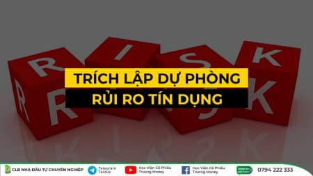 TRÍCH LẬP DỰ PHÒNG RỦI RO TÍN DỤNG