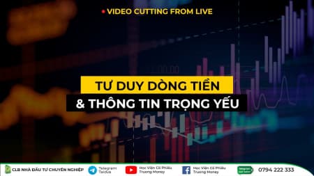TƯ DUY DÒNG TIỀN & THÔNG TIN TRỌNG YẾU TRONG ĐẦU TƯ CỔ PHIẾU