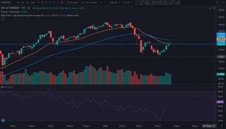 Tuần mới có gì mới? 