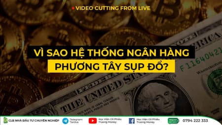 VÌ SAO HỆ THỐNG NGÂN HÀNG PHƯƠNG TÂY SỤP ĐỔ