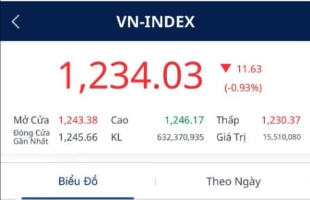 VN-Index có nguy cơ phá đáy gần nhất 