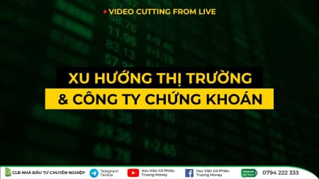 XU HƯỚNG THỊ TRƯỜNG & CÔNG TY CHỨNG KHOÁN (LIVE T5/2023)