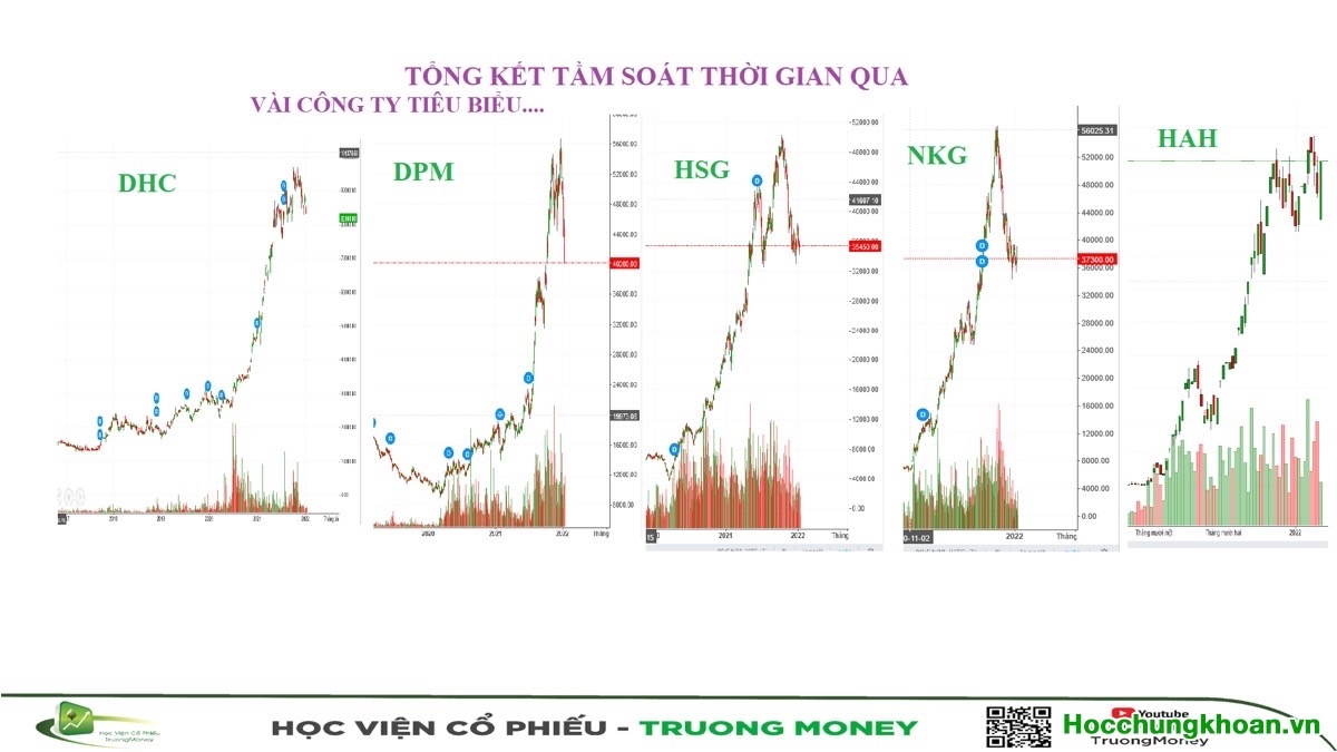 Video 25. TẦM SOÁT CỔ PHIẾU PHẦN 5 - Lập ma trận theo dõi & đầu tư - Ảnh 12